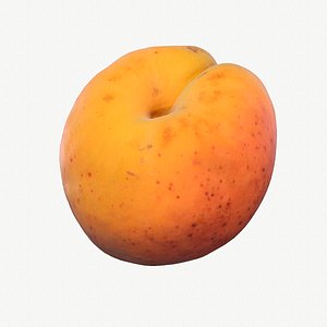 05 hy apricot fruit model