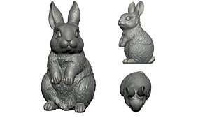 3D rabbit