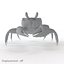 Ghost Crab