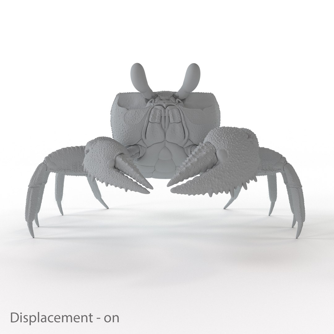 3D ghost crab model https://p.turbosquid.com/ts-thumb/Jw/dMAk1S/DzJALBMW/crab_rend_disp_on/jpg/1498772663/1920x1080/fit_q87/7def7c09214bfcb6185253308a30f969de9b4c97/crab_rend_disp_on.jpg