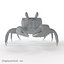 Ghost Crab