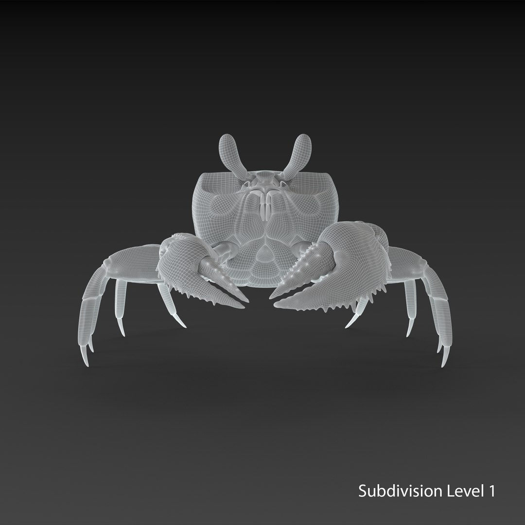 3D ghost crab model https://p.turbosquid.com/ts-thumb/Jw/dMAk1S/IPoyJWxP/crab_ts1/png/1499368057/1920x1080/fit_q87/b6540eeef5d78be734264a4cf4cf5ad4d9b3b9e5/crab_ts1.jpg