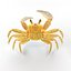 Ghost Crab