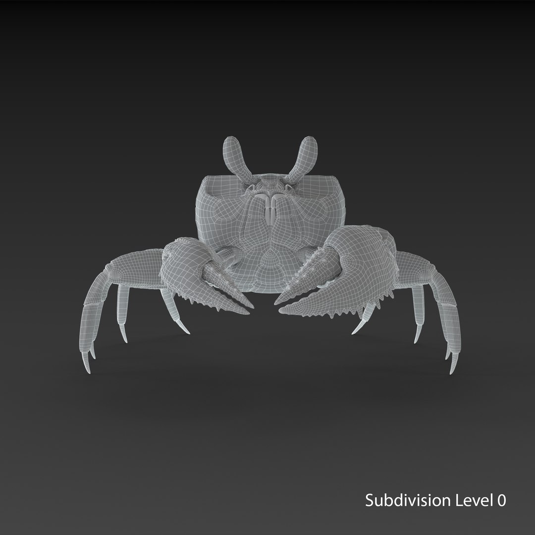 3D ghost crab model https://p.turbosquid.com/ts-thumb/Jw/dMAk1S/etlyvnsH/crab_ts0/png/1499368057/1920x1080/fit_q87/7dda018b8be2fa6fcd41a2a39c97a204983c167f/crab_ts0.jpg