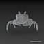 Ghost Crab