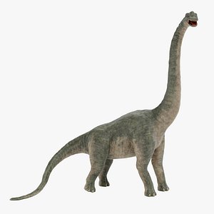 3D model Brachiosaurus Rigged