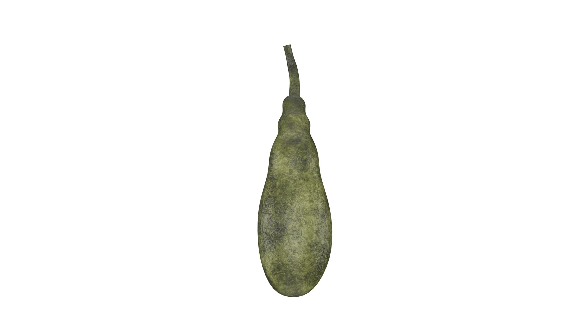 Gallbladder 3D Model - Realistic Human Intestines Anatomy 3D Model ...