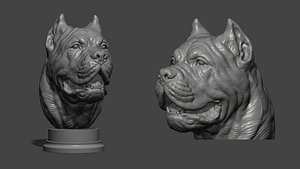 3D Canne Corso bust version 2 model