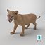 Baby Puma Cub