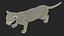 Baby Puma Cub