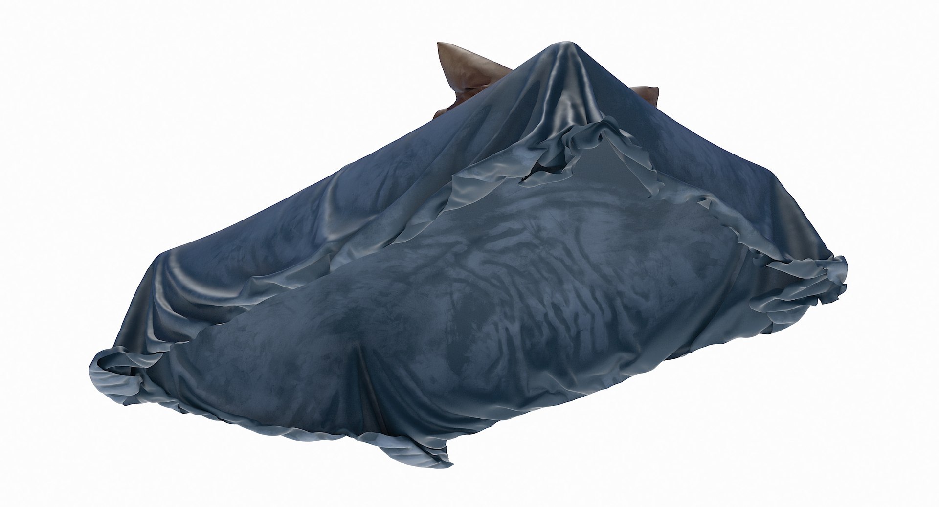 loose bed velvet fabric 3D model https://p.turbosquid.com/ts-thumb/Jw/q6TW10/KZYuGHqP/loosebed_a_velvet_07/jpg/1583445920/1920x1080/fit_q87/bc37b6c0dee5ff3b602dce2fa6e0f6e051e8f5fd/loosebed_a_velvet_07.jpg