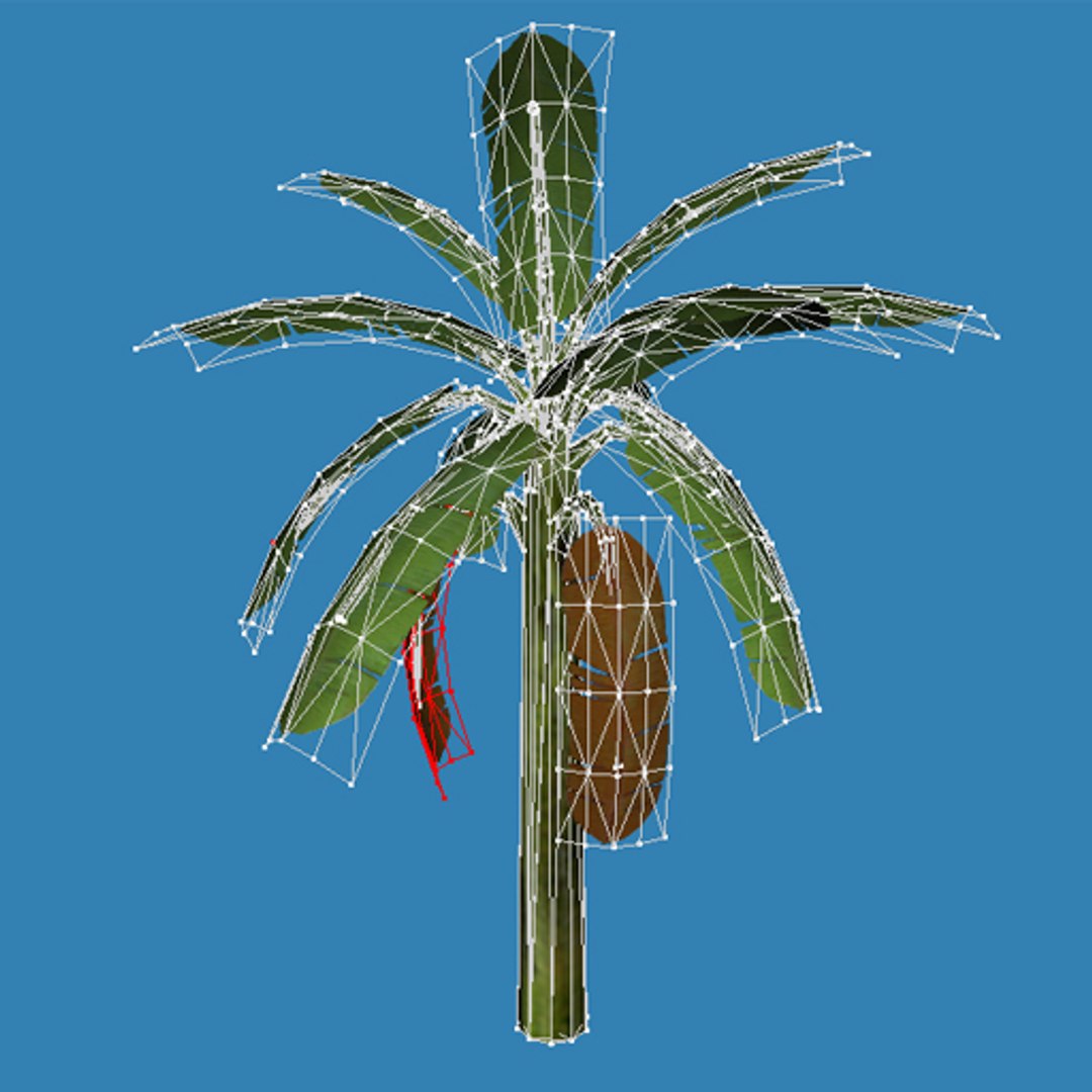 Banana tree 3D model - TurboSquid 374547