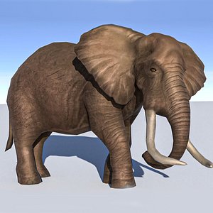 Realistic African Elephant 3D Mode 3D