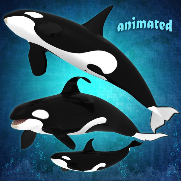3d killer whale model