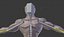 low poly basemesh character
