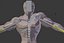 low poly basemesh character
