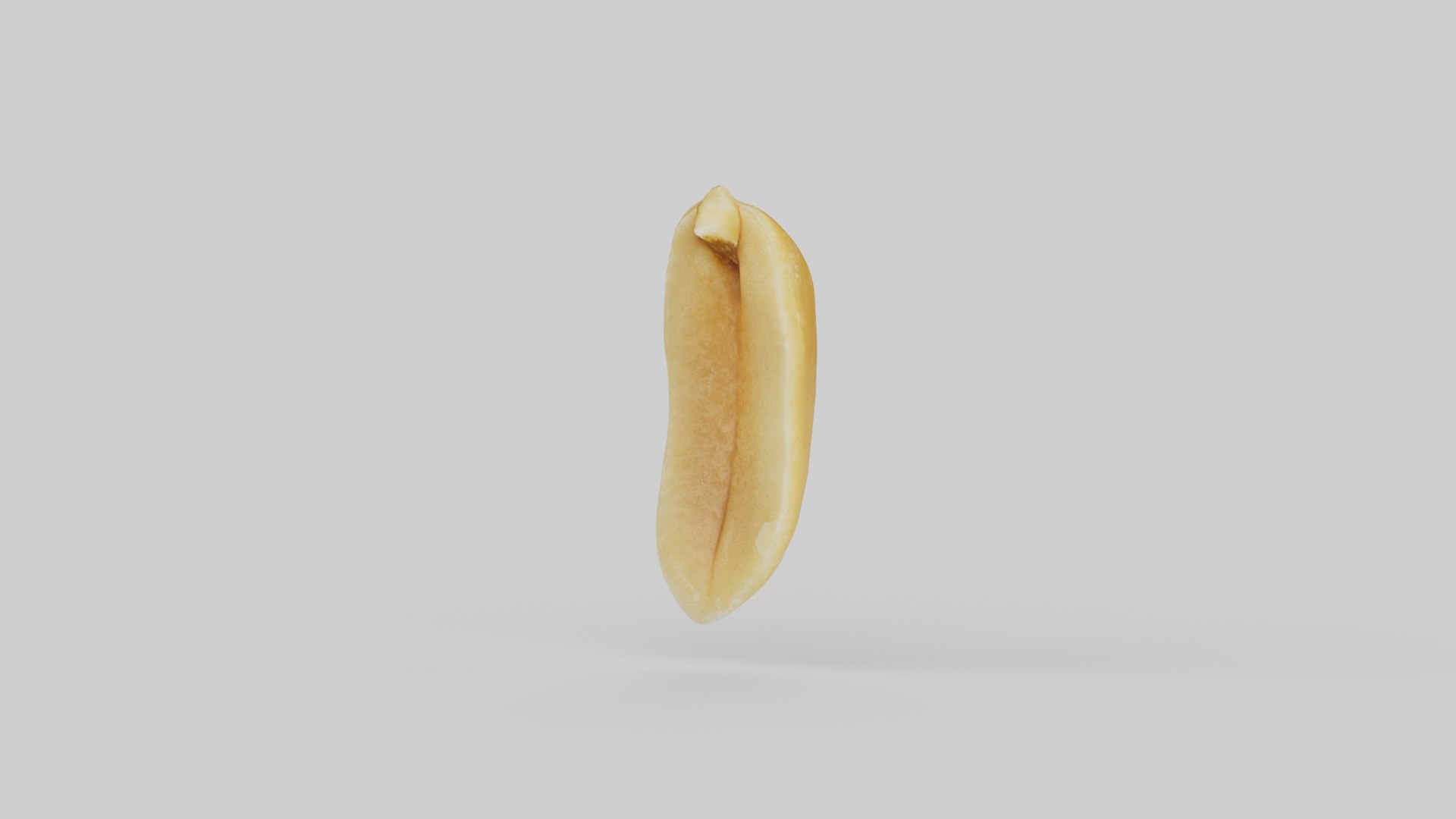 Peanut Half 3D https://p.turbosquid.com/ts-thumb/Jx/cqHM5G/AU/photoscan_preview_clean_0352/jpg/1766827839/1920x1080/fit_q87/2503a8e535ce82d26c798562339b8d5fad9548ae/photoscan_preview_clean_0352.jpg