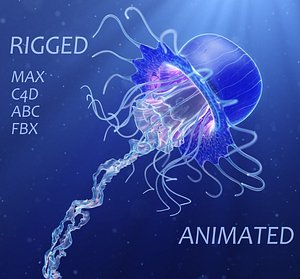 3D model Jellyfish Realistic rigged animated