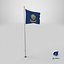 Pole Flag Idaho