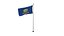 Pole Flag Idaho