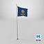 Pole Flag Idaho