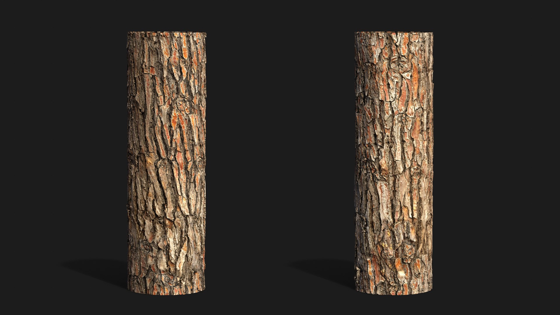 Stone pine PBR tiled texture 8K 3D model https://p.turbosquid.com/ts-thumb/Jx/hs69GS/6c/stone_pine09/jpg/1758270037/1920x1080/fit_q87/ea857d1e7f144122d0d625bf8f59cd9c3505b640/stone_pine09.jpg
