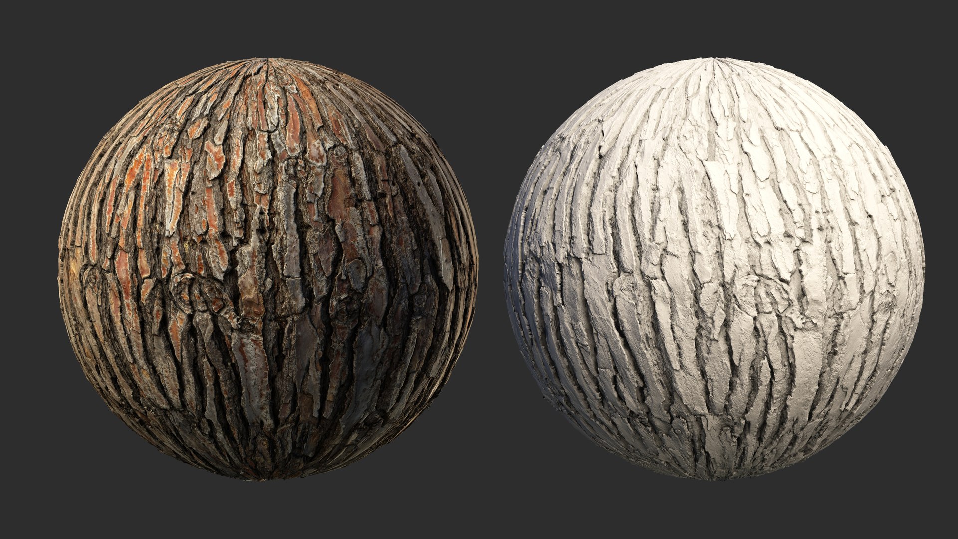 Stone pine PBR tiled texture 8K 3D model https://p.turbosquid.com/ts-thumb/Jx/hs69GS/dl/stone_pine04/jpg/1758270034/1920x1080/fit_q87/733963c91a1abc886bf0b56748851c6f51422aa9/stone_pine04.jpg