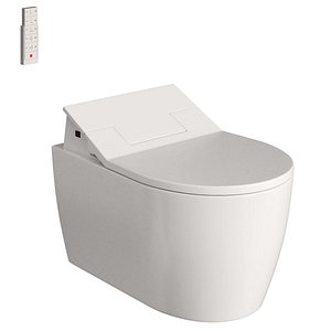 toilet bidet remote 3D model