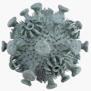 max micro object mht