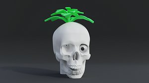 3D skeleton-Natures Touch on the Face of Death