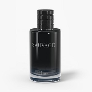 3D Dior Sauvage Eau Toilette Bottle