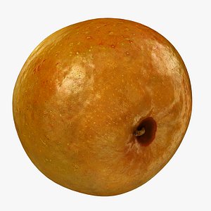 Indian Jujube