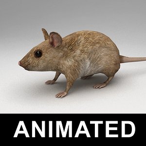 3d rigged mouse walk animation