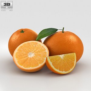 fruit food 3D model