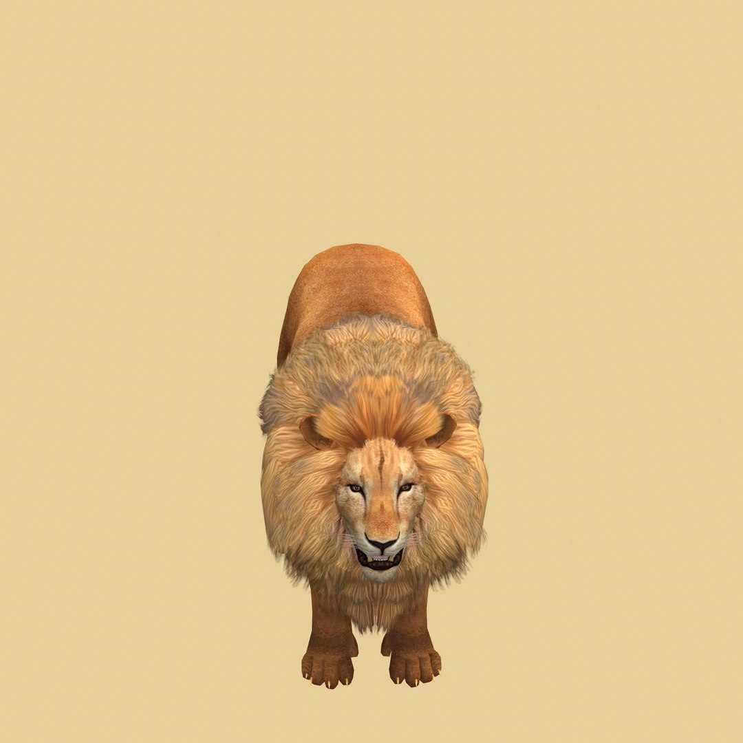 Male Lion Ready for Game and Animation 3D model https://p.turbosquid.com/ts-thumb/Jy/lqCOoc/6p/11/jpg/1741109815/1920x1080/fit_q87/3efbea6c9a0e839cf7baaaf629b1a664c1089c0a/11.jpg