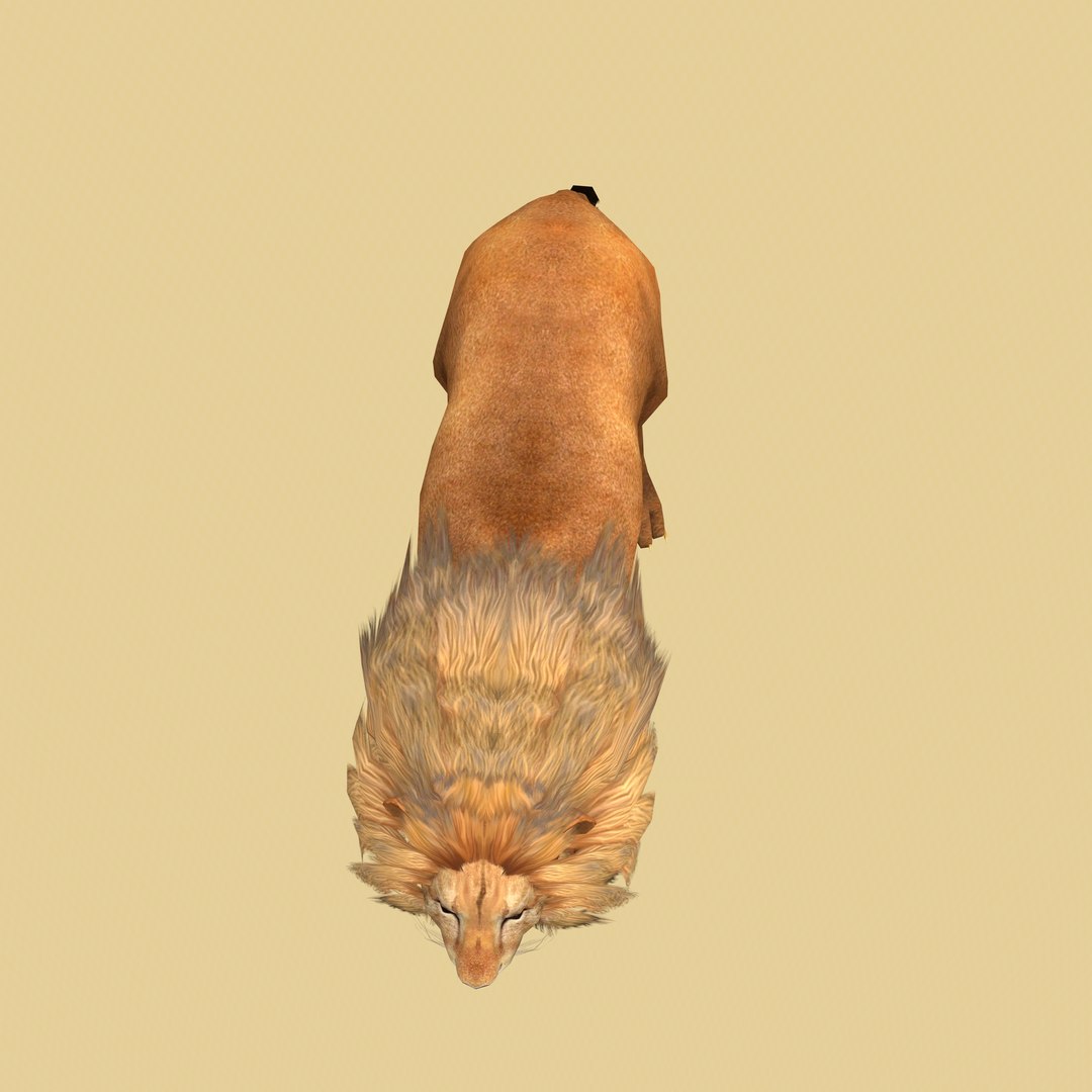 Male Lion Ready for Game and Animation 3D model https://p.turbosquid.com/ts-thumb/Jy/lqCOoc/6z/12/jpg/1741109815/1920x1080/fit_q87/0c5f674fb13e0b24b5c38855a0ec600af0a46e53/12.jpg