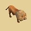 Lion mâle prêt pour le jeu et l'animation