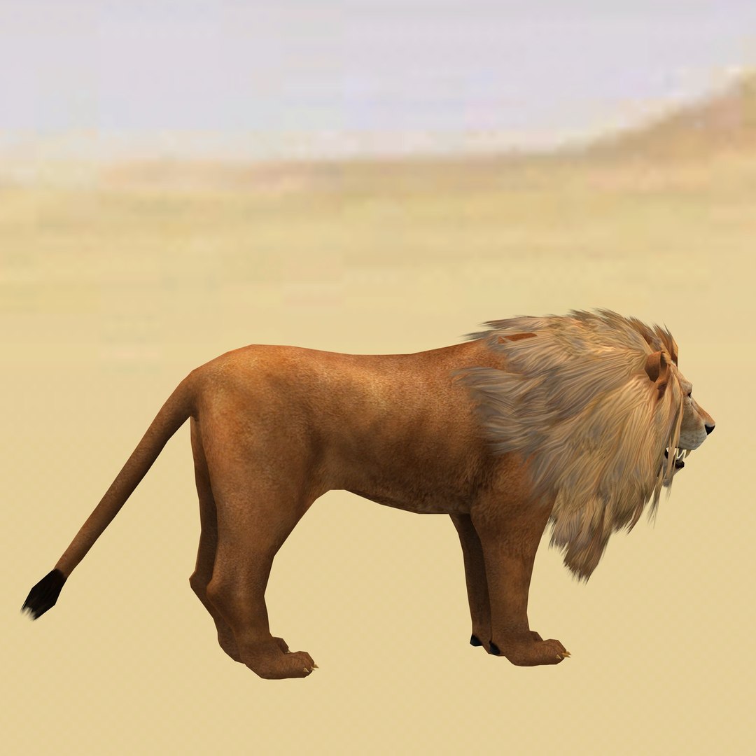 Male Lion Ready for Game and Animation 3D model https://p.turbosquid.com/ts-thumb/Jy/lqCOoc/9g/8/jpg/1741109813/1920x1080/fit_q87/ed60e111c31ae2df8340065c14e1d6c593a51a12/8.jpg