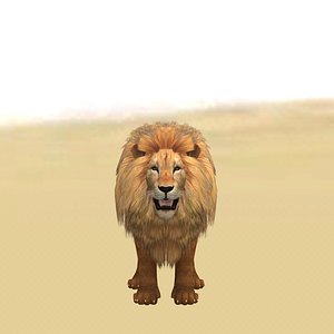 Male Lion Ready for Game and Animation 3D model