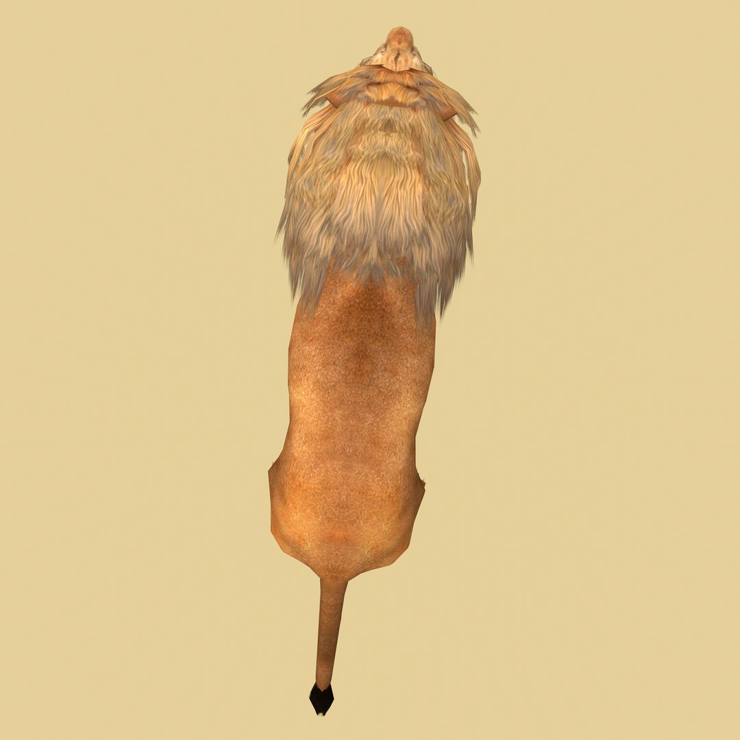 Male Lion Ready for Game and Animation 3D model https://p.turbosquid.com/ts-thumb/Jy/lqCOoc/gv/13/jpg/1741109816/1920x1080/fit_q87/65658380231b0c91a1b892a392a2908e41f09dc1/13.jpg