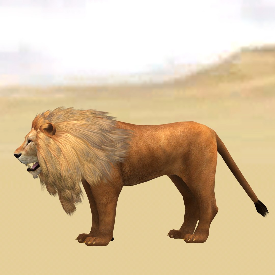 Male Lion Ready for Game and Animation 3D model https://p.turbosquid.com/ts-thumb/Jy/lqCOoc/oR/3/jpg/1741109812/1920x1080/fit_q87/eaa1f42debfe6f323260ff8fc1c43365c48a5b79/3.jpg