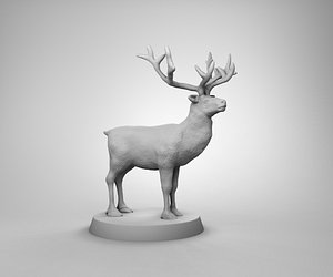 3D model wild deer