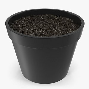 Flower Pot With Soil