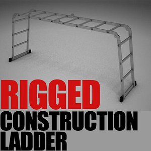 construction ladder 3ds