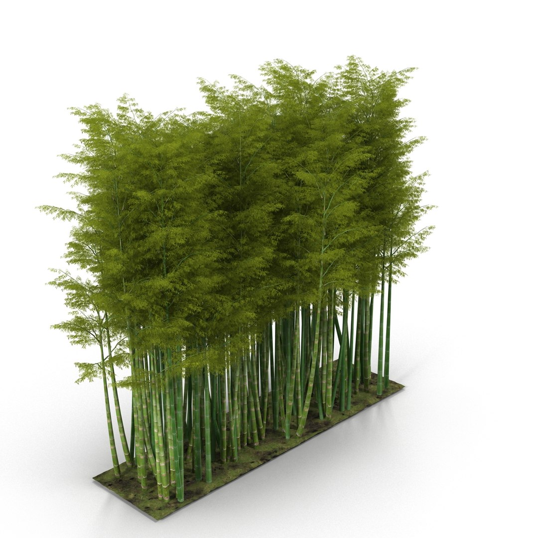 Bamboo Wall 3D Model - TurboSquid 1213314