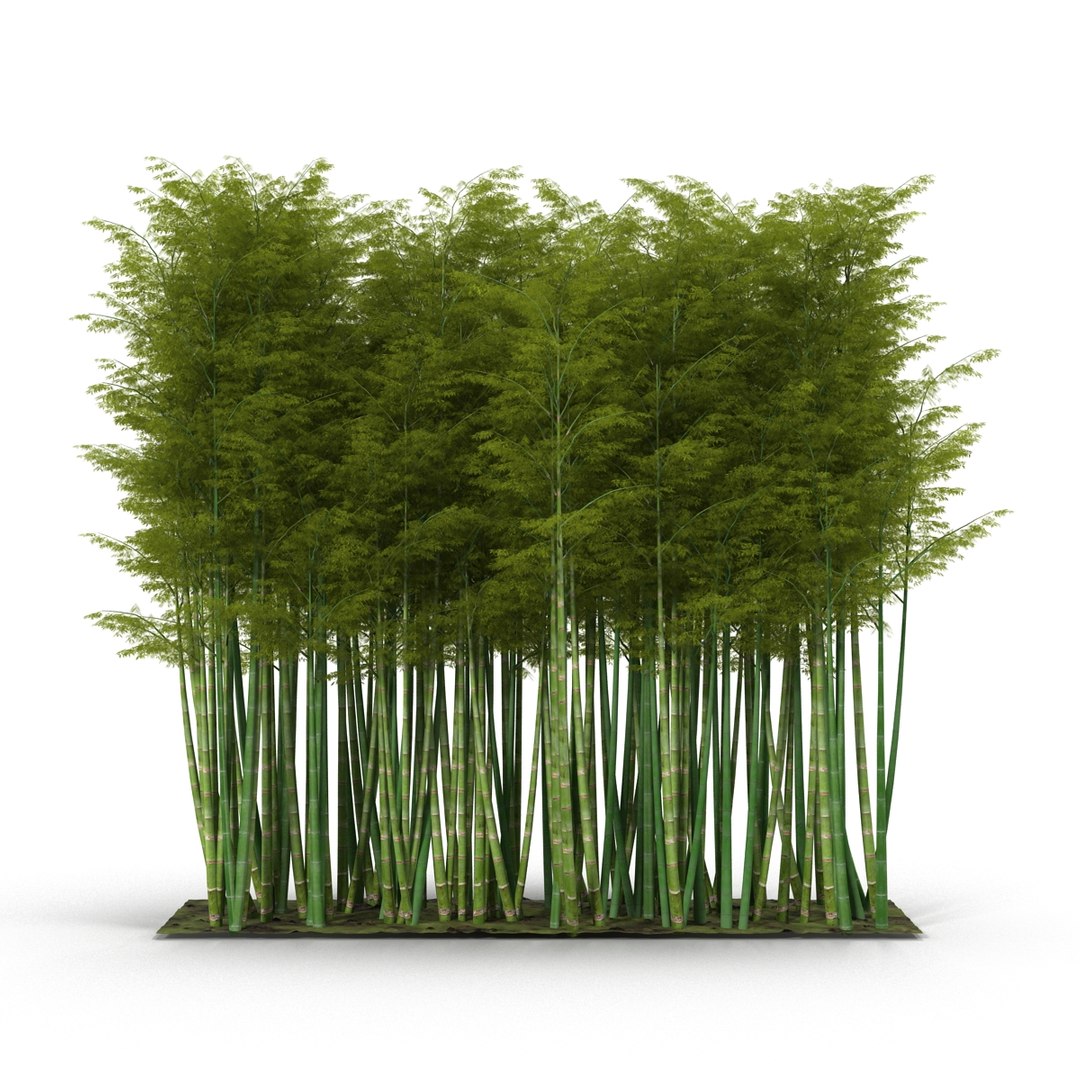 Bamboo Wall 3D Model - TurboSquid 1213314