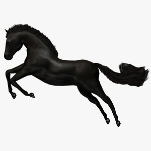 Low Poly and Animated Black Horse