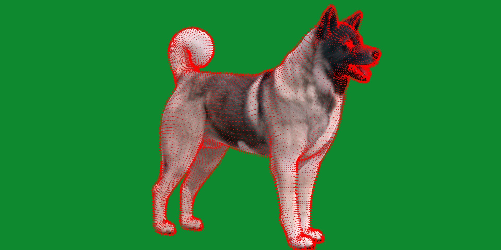 3D American Akita Dog model https://p.turbosquid.com/ts-thumb/Jz/GMtQIc/M5/american_akita21/png/1729022512/1920x1080/fit_q87/1f3c5edb4b5c7d70d64ab275ff93d78e1eb4de1e/american_akita21.jpg