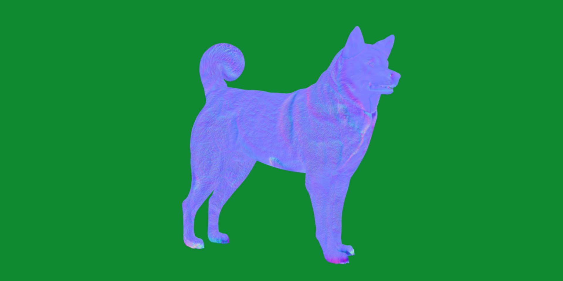 3D American Akita Dog model https://p.turbosquid.com/ts-thumb/Jz/GMtQIc/ea/american_akita6/png/1729022504/1920x1080/fit_q87/94381bd6e80982b6cc59c47c62450dd5886206ce/american_akita6.jpg