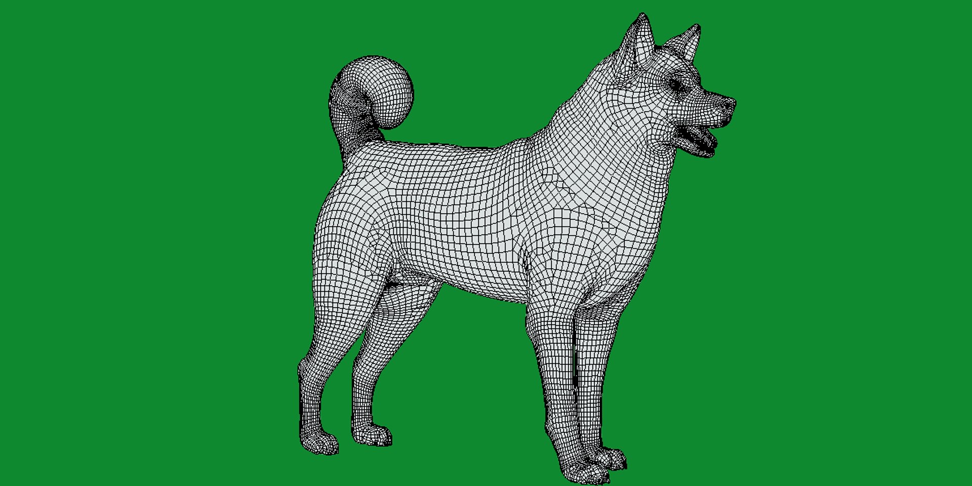 3D American Akita Dog model https://p.turbosquid.com/ts-thumb/Jz/GMtQIc/qH/american_akita12/png/1729022507/1920x1080/fit_q87/d06e66fe809fe54a2548030379a34e7b28155a3f/american_akita12.jpg